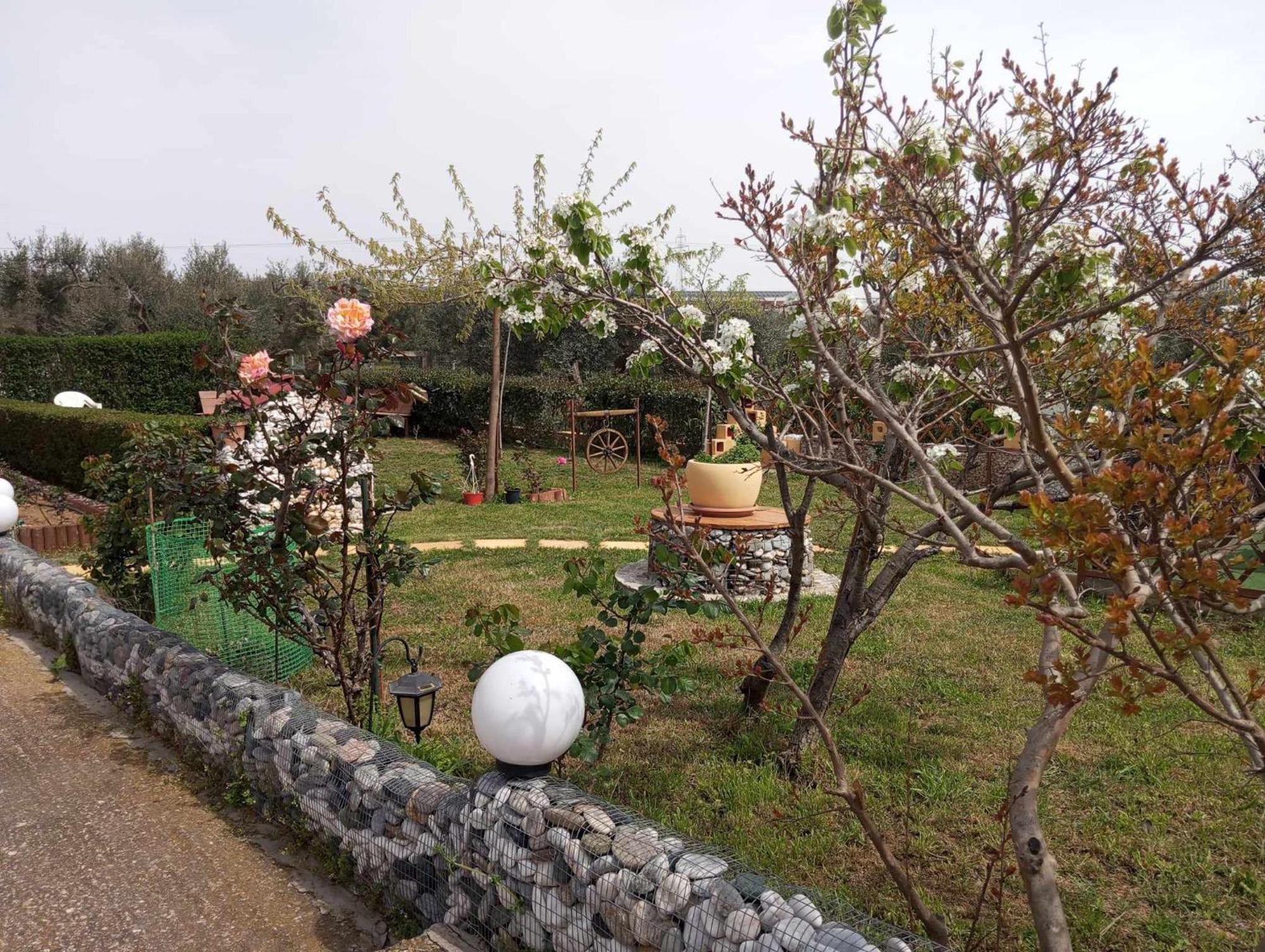 Dora'S Garden Villa Alexandroupoli Exterior photo