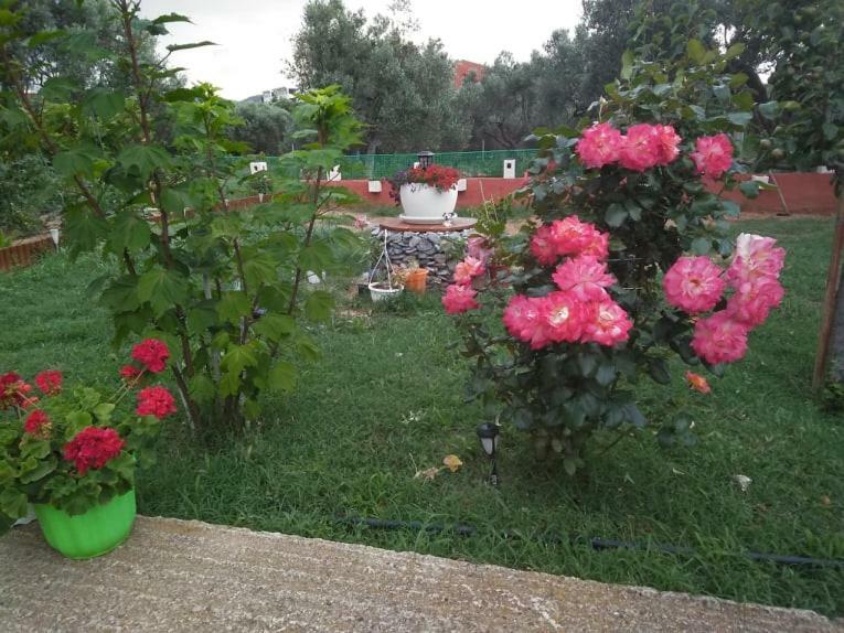 Dora'S Garden Villa Alexandroupoli Exterior photo